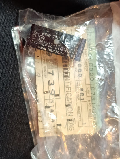LICON 11-314 Switch 125/ 250VAC 10A NSNP NEW NOS